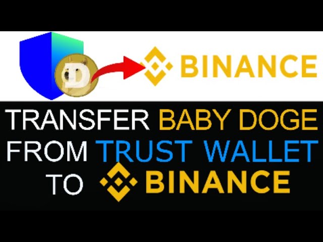 How To Transfer Baby Doge Coin From Trust Wallet To Binance 2024 | BEST WAY YET