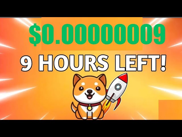 Baby Dogecoin News Today | Price Pump | BabyDoge Coin Price Pump | Binancr Listing