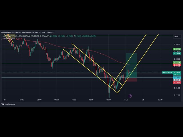 Doge Coin Trading Live Stream