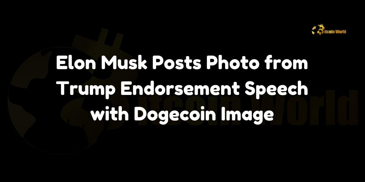 Elon Musk Posts Photo from Trump Endorsement Speech with Dogecoin Image