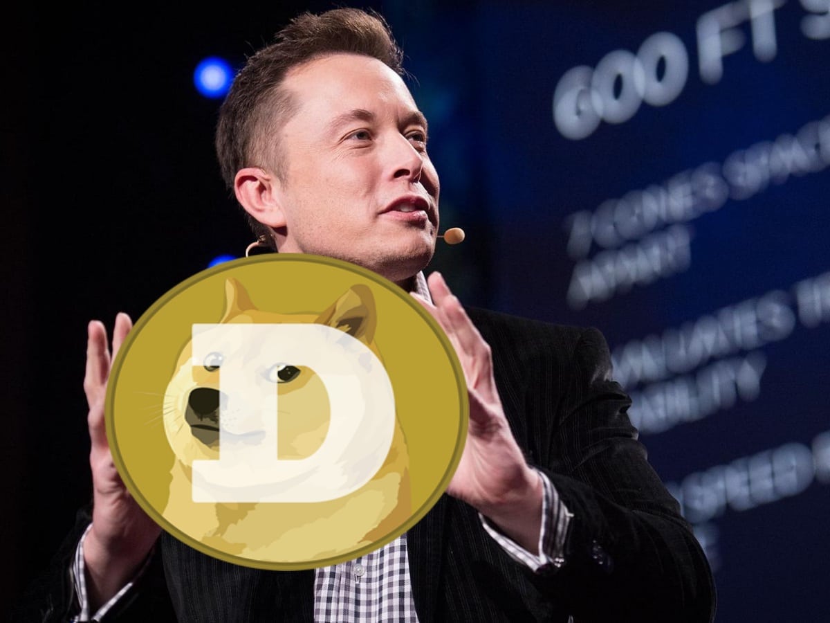 Elon Musk가 새로운 Dogecoin(DOGE) 게시물을 공개했습니다!