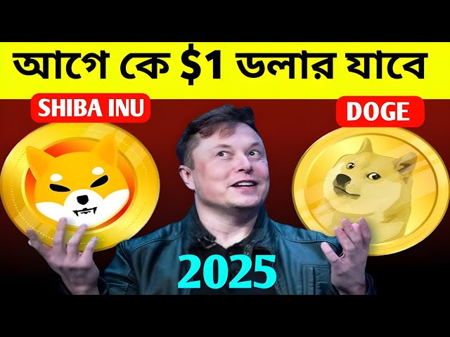 Doge coin / Shiba Inu price $1 Hit 2025