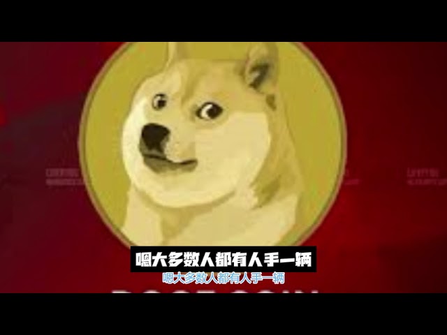 Dogecoin Major Gathering 2024: Introducing the latest progress and currency price of DOGE. How will the US election and Musk's actions this year further develop DOGE? What is the currency price seen?