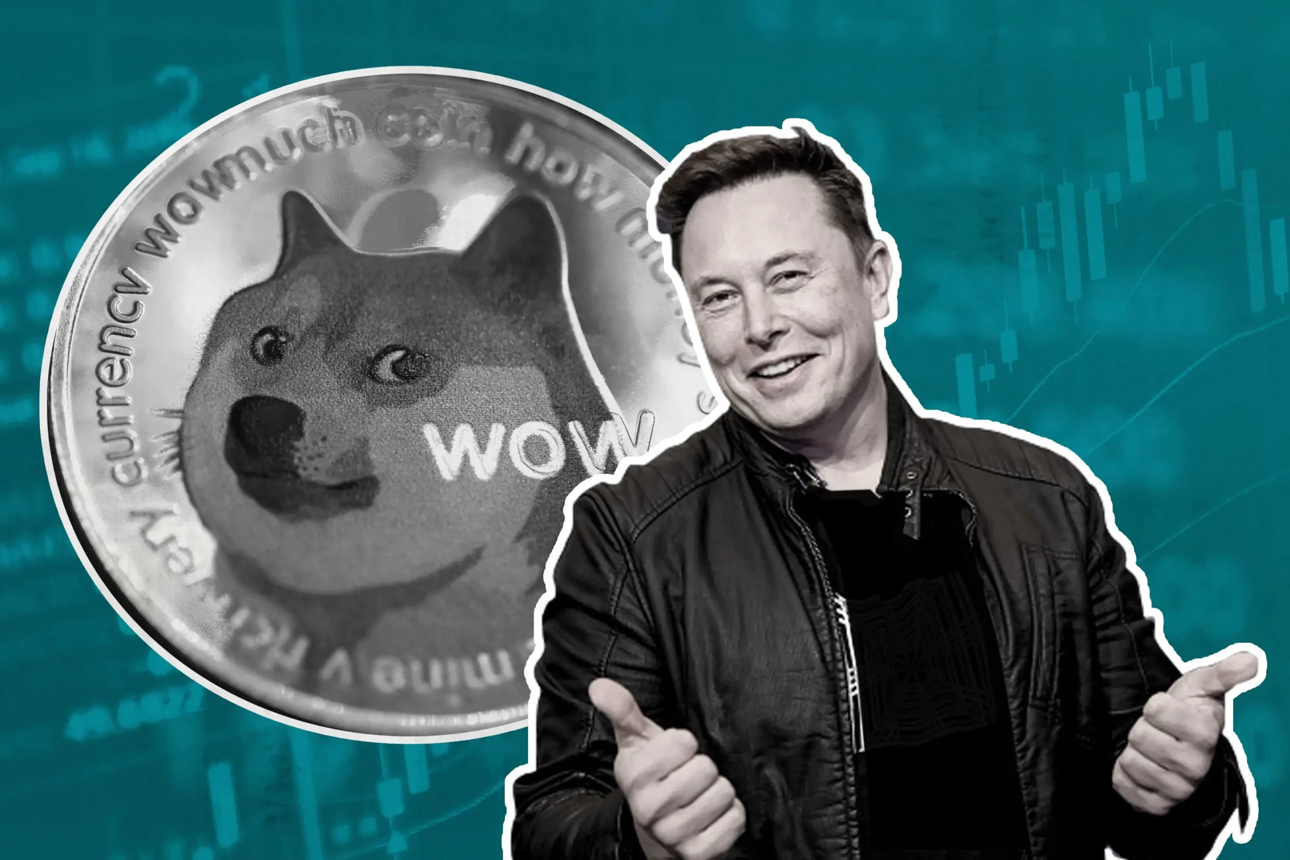 Elon Musk’s Latest Dogecoin Meme Stirs Mixed Reactions