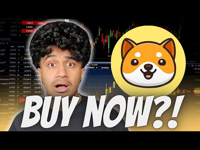 BABY DOGE COIN IS PARTNERING WITH ELON MUSIC?! BABYDOGECOIN STARLINK COLLAB CONFIRMED?!