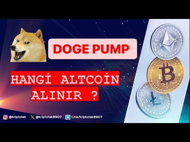 DOGE COIN PUMP! WHICH ALTCOIN TO BUY?