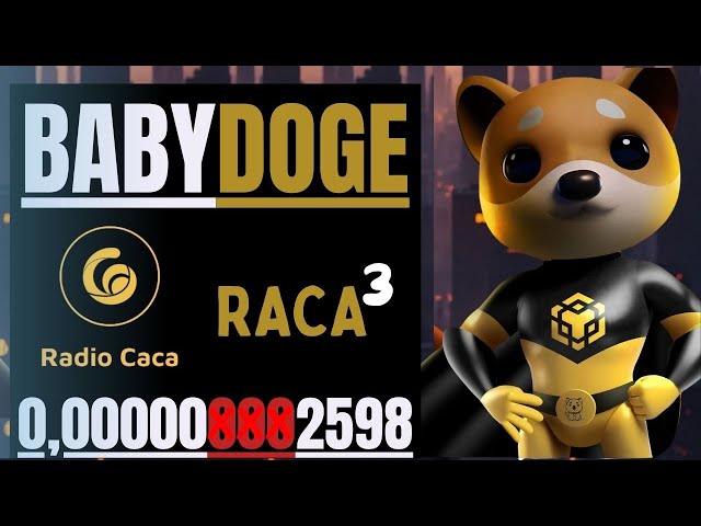 🔥BABY DOGE COIN // RADIO CACA + DOGELON MARS + VITA INU🔥#bitcoin #babydogecoin #babydoge