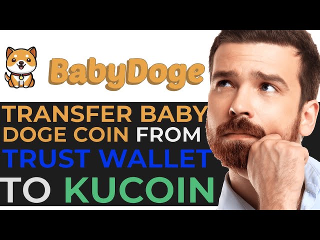 How to Transfer Baby Doge Coin from Trust Wallet to KuCoin - EASY GUIDE