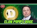 DOGE COIN UPDATE IN HINDI | DOGE BULLRUN START | 1 DOGE = 1$ ?