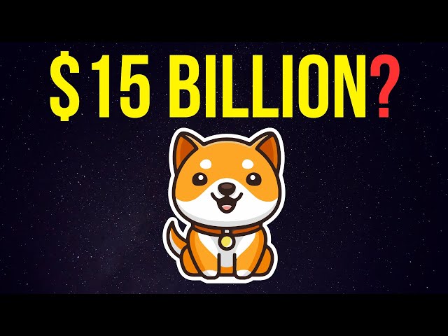 Baby Doge Coin: $15 Billion Market Cap Realistic This Bull Run? | Baby Doge Coin Price Prediction