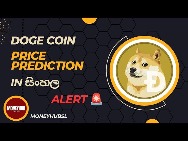 Doge coin price analysis in Sinhala CRT|TS| #doge#future#trading#crypto#analys#ict#crt#irl#btc#smc