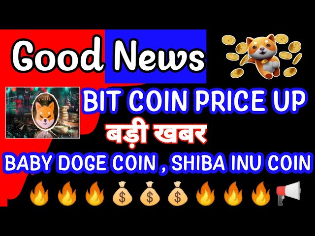 SHIBA INU NEWS TODAY|BABY DOGE COIN NEWS| CRYPTO NEWS|BTC PRICE UPDATE|Crypto News Uncut