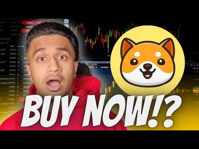 WILL BABY DOGE COIN KEEP EXPLODING?! HUGE NEWS FOR BABY DOGE COIN!!