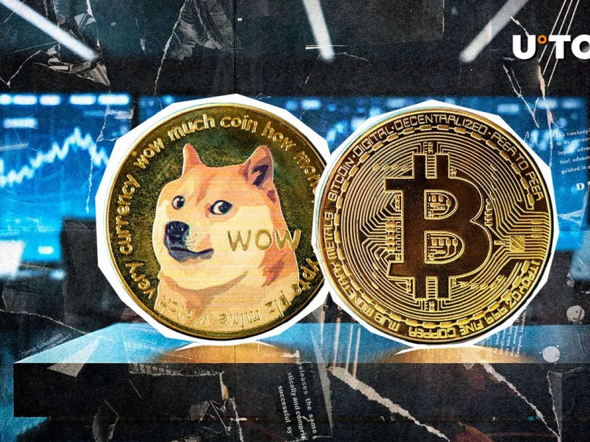 Dogecoin Cofounder Reacts as Bitcoin Skyrockets to $73,000