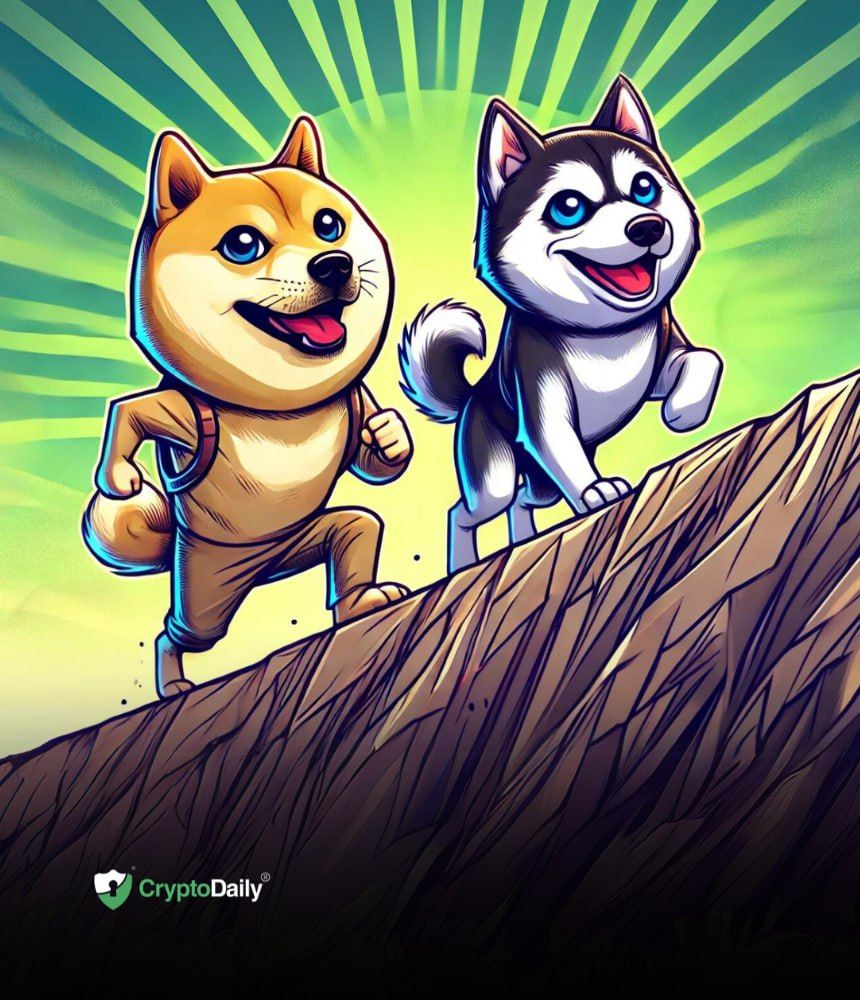 Dogecoin (DOGE) está a punto de alcanzar nuevos máximos: 3 monedas Meme para observar a medida que avanza la temporada de CryptoDog