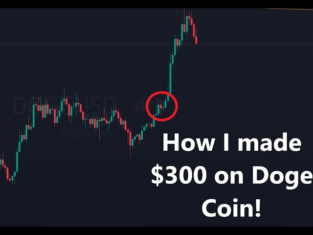 How I made easy money trading doge coin