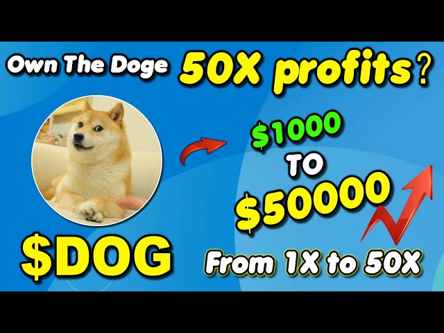 Watch How I Made 50X Profit Using Own The Doge DOG – Step by Step!