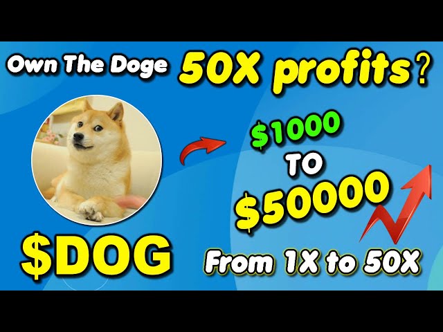 Earn Massive 50X Returns with Own The Doge DOG - Don’t Miss Out!