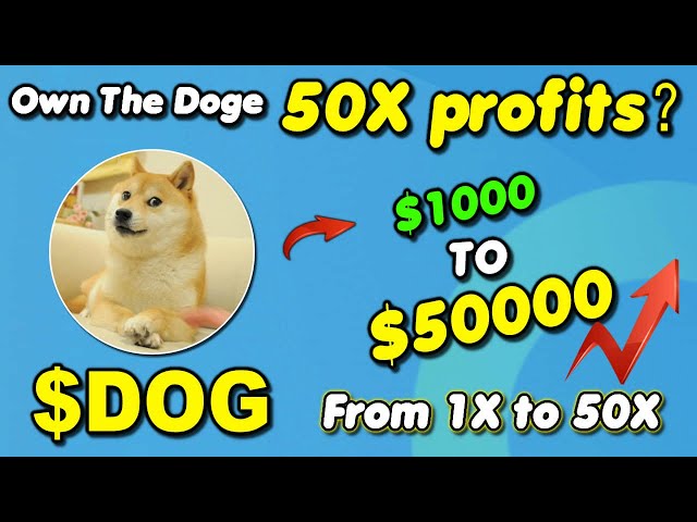 Own The Doge DOG 50X Profit Opportunity – My Fast Strategy!