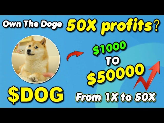 Earn 50X Profit with Own The Doge DOG: My Proven Strategy – Watch Now!