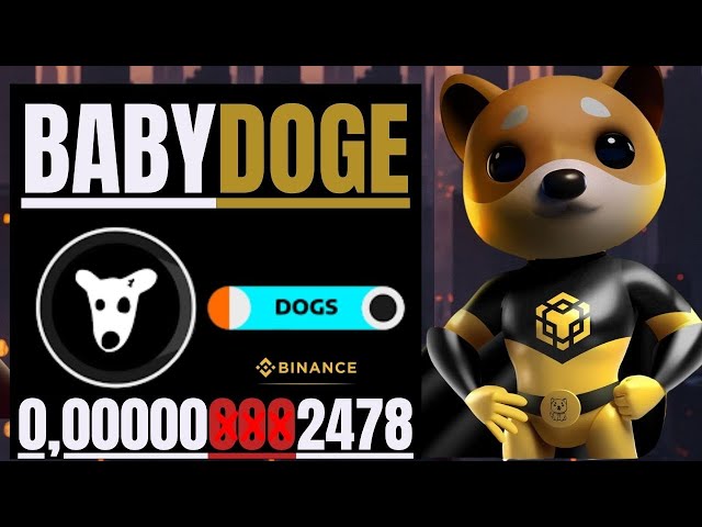 🔥BABY DOGE COIN // DOGS + RADIO CACA + MAPLE RWA🔥#babydogecoin #babydoge #shib #radiocaca