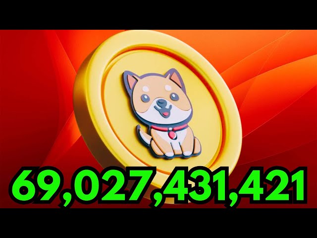 YOU ONLY NEED 69B BABY DOGE COIN! SEE THIS