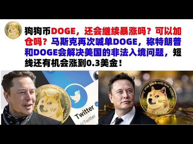 Will Dogecoin DOGE continue to skyrocket? Can I add a position? Musk once again called for DOGE, saying that Trump and DOGE will solve the illegal immigration problem in the United States, and there is a chance that the price will rise to 0.3 US dollars i