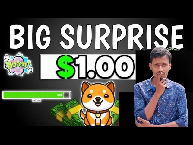 Will Baby Doge lose ₹1 in this Bull Run? Baby Dogecoin Binance Listing |Price Prediction