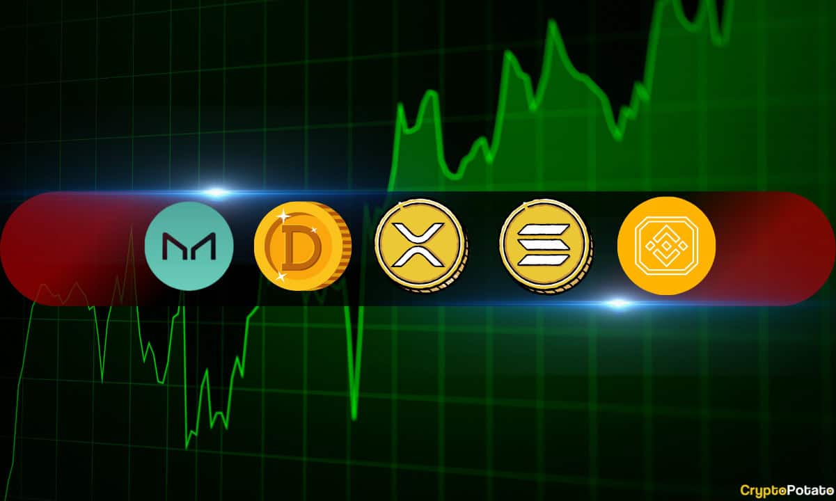 11 月 1 日加密貨幣價格分析：XRP、BNB、SOL、DOGE 和 MKR