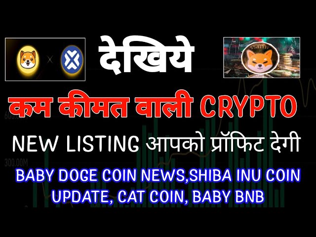 BABY DOGE COIN NEWS| SHIBA INU NEWS TODAY CRYPTO NEWS|BTC PRICE UPDATE|Crypto News Uncut