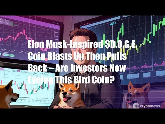 Elon Musk-Inspired $D.O.G.E. Coin Blasts Up Then Pulls Back – Are