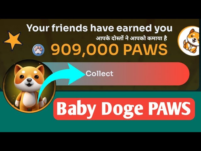 Baby Doge PAWS Your friends have earned you | ALL BTC