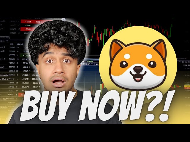 BABY DOGE COIN ELON MUSK ANNOUNCEMENT SOON?! BABYDOGECOIN STARLINK COLLAB CONFIRMED?!