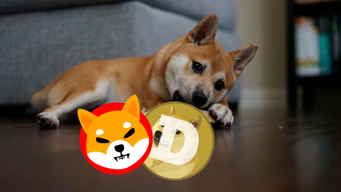 Dogecoin과 Shiba Inu가 이번 달에 새로운 최고치를 기록할 수 있을까요? 전문가들은 XYZVerse로 변경하는 것을 권장합니다.