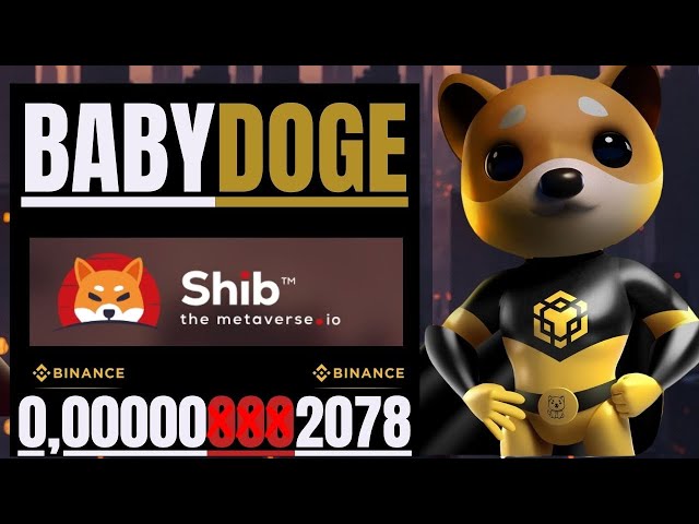 🔥BABY DOGE COIN // SHIBA INU + K9 E BAD IDEA AI CONFIRA🔥#babydogecoin #babydoge #shibainucoin