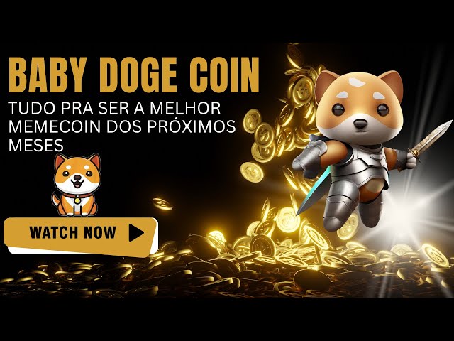 BABY DOGE COIN - EVERYTHING TO REPEAT THE SUCCESS OF SHIBA INU AND BE THE BEST MEMECOIN OF THIS CYCLE