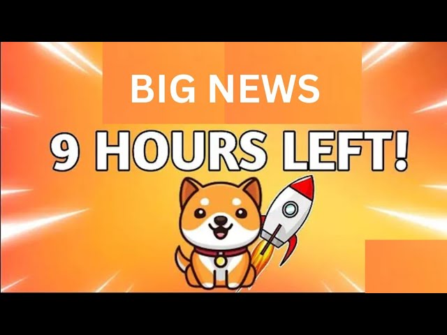 Baby Dogecoin Big News | Burning | BabyDoge Coin Price Pump 119x | Binance Listing