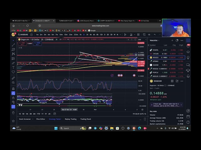 -Doge Coin 11-3  Technical Analysis October 2024!!!