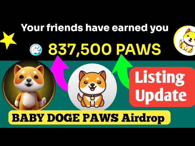 Baby Doge PAWS TON Gateway in Dubai this week | baby dogecoin news today