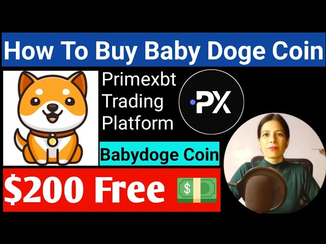 How To Buy Baby Doge Coin | Start Trading With PrimeXBT | Future Trading Kaise Kare For Beginners