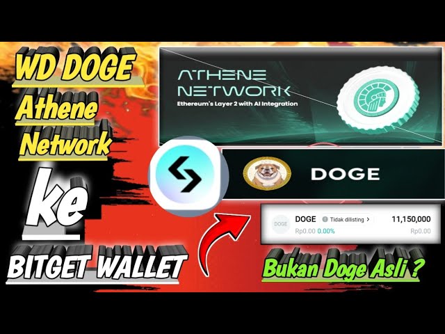 How to Withdraw DOGE on Athene Network to Bitget Wallet ✅ Not Real Doge? @YanIwan86