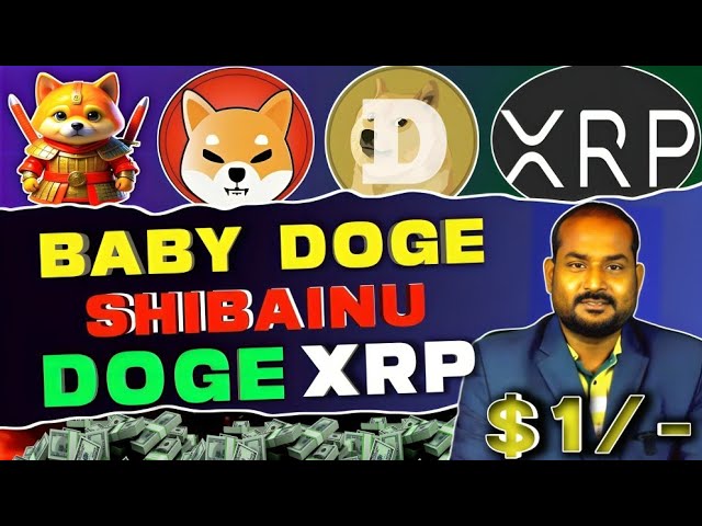 Robinhood list $1 | Baby dogecoin news today hindi | Baby doge price prediction |