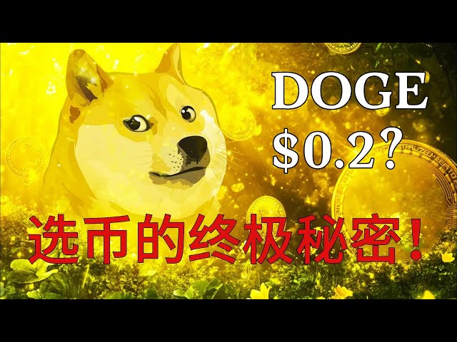 Discussing DOGE coin price trends: How to find the next hot coin?