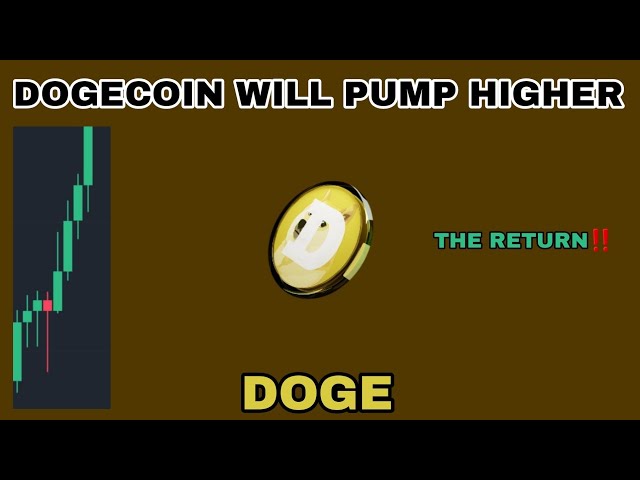 DOGE COIN WILL PUMP HIGHER UPDATE IN 2024‼️ THE RETURN OF DOGECOIN‼️ BULL RUN SIGNAL FLASHING