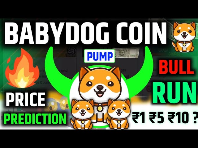 BabyDog coin Big Update! 🔥 | New listings Baby DOG | BULL RUN 😀.