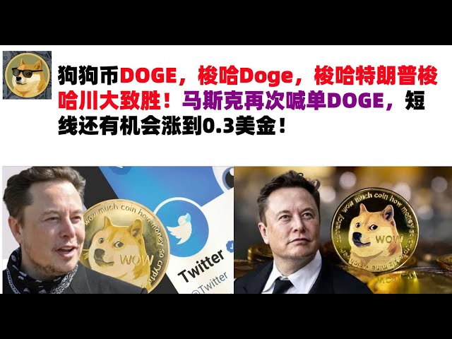 Dogecoin DOGE, Stud Doge, Stud Trump, Stud Sichuan University win! Musk calls for DOGE again, and there is a chance it will rise to $0.3 in the short term! Musk’s Dogecoin | DOGE market analysis!