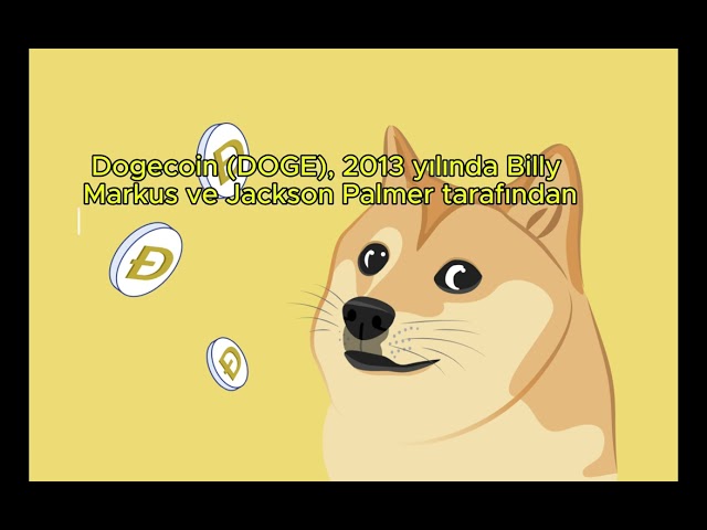 WHAT IS DOGE COIN, WHAT IS THE FUTURE FORECAST? #economy #dogecoin #bitcoin