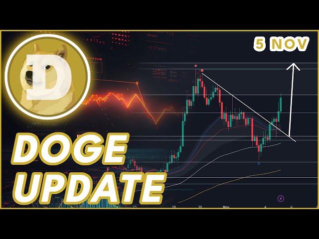 WILL DOGE PUMP HIGHER?🚨 | DOGECOIN (DOGE) PRICE PREDICTION & NEWS 2024!