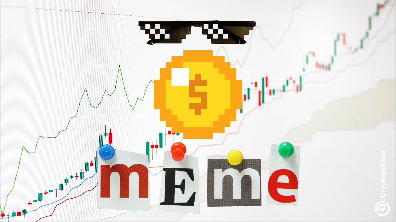 Memes will increase their share of crypto market size in the coming years