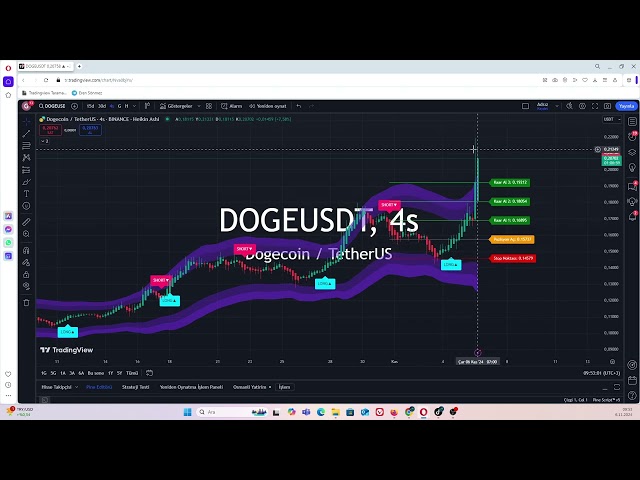 Will Doge Coin Continue to Profit from Leveraged Transactions #dogecoin